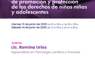 Abordaje integral del sistema de promoción y protección de los derechos de niños niñas y adolescentes